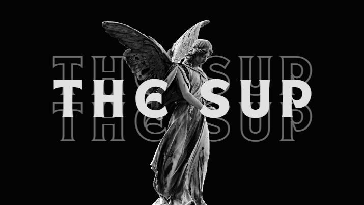 The SUP - v1.0 Adult game cover