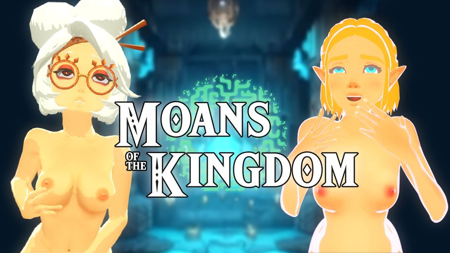 Zelda: Moans of the kingdom cover