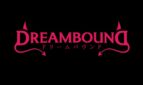 DreamBound Adult Game Cover