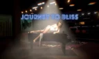 Journey to Bliss Adult Game Cover