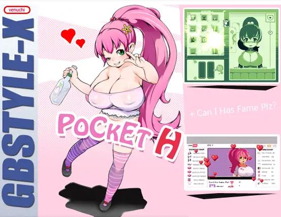 Pocket-H cover