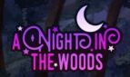 A Night in the Woods Adult Game Cover