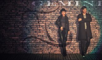 Gemini - 1.0 18+ Adult game cover