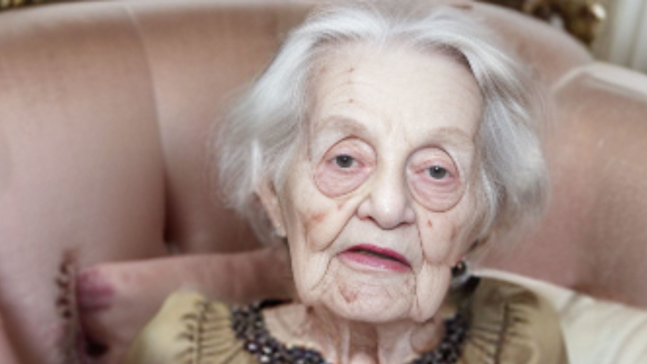 Granny Sex Love cover