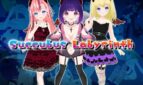 Succubus Labyrinth Adult Game Cover