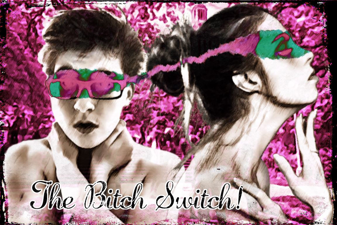 The Bitch Switch! cover