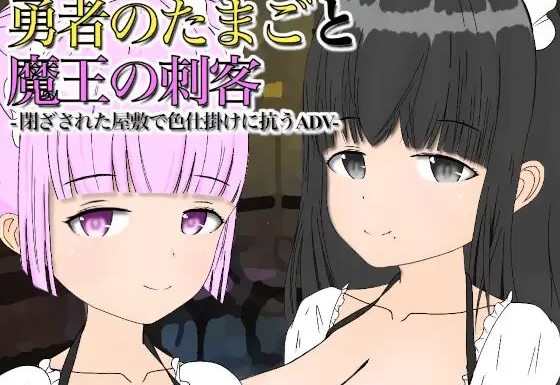 The Hero’s in the Making and the Demon Queen’s Assassins cover