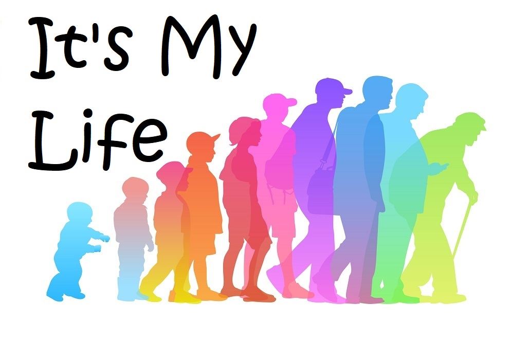 It’s My Life cover