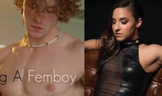 Compendium Of Short Stories - 0.08 18+ Adult game cover