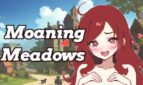 Moaning Meadows Adult Game Cover