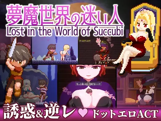 Lost in the World of Succubi cover