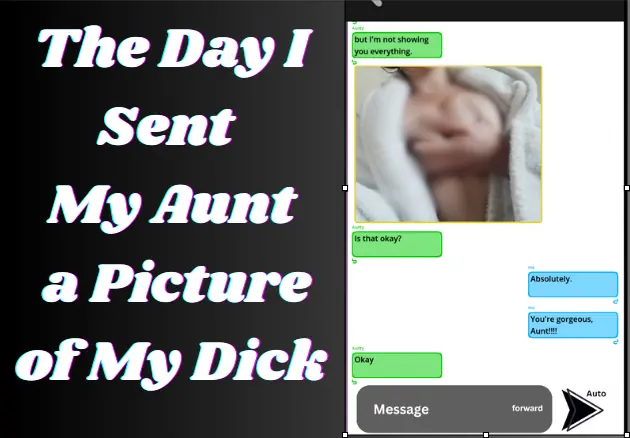 The Day I Sent My Aunt a Dick Pic cover