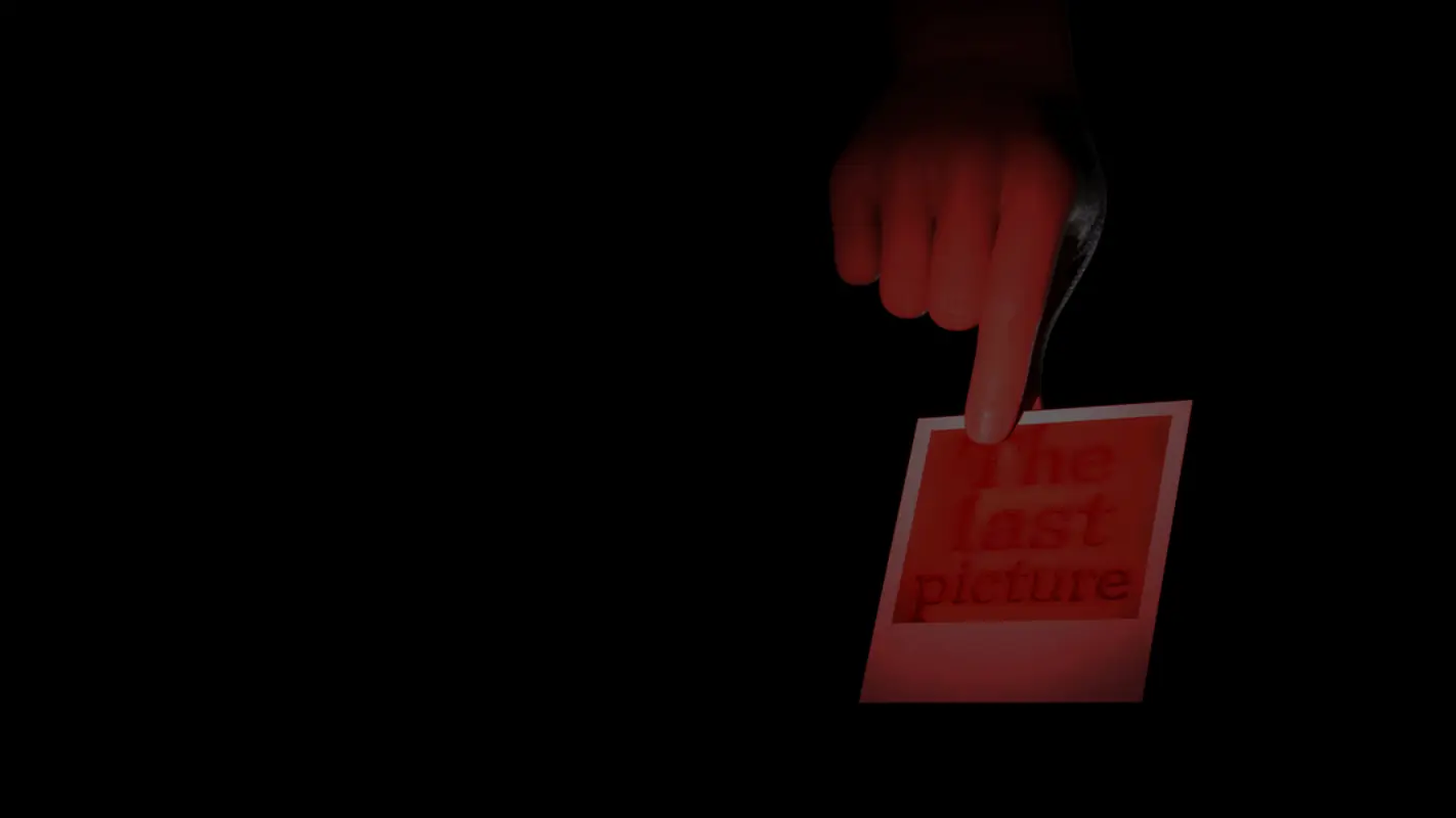 The last picture cover