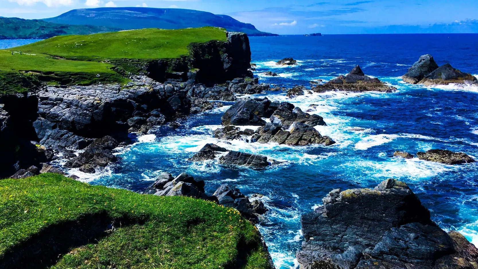 The Selkie - vCh.2 Adult game cover