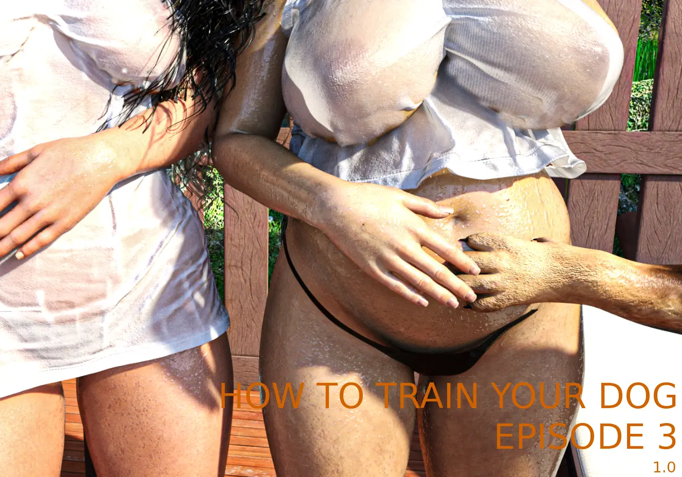 How to Train Your Dog cover