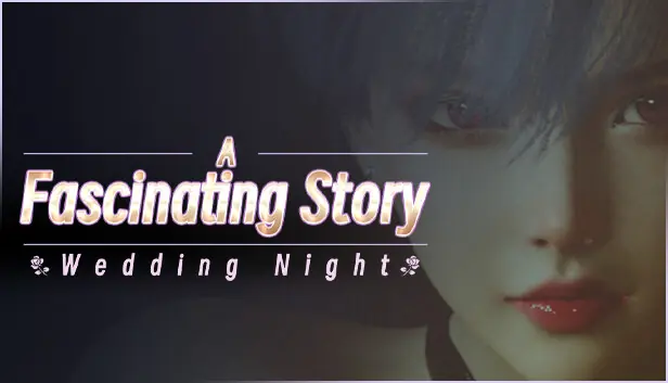 A fascinating story : Wedding Night cover