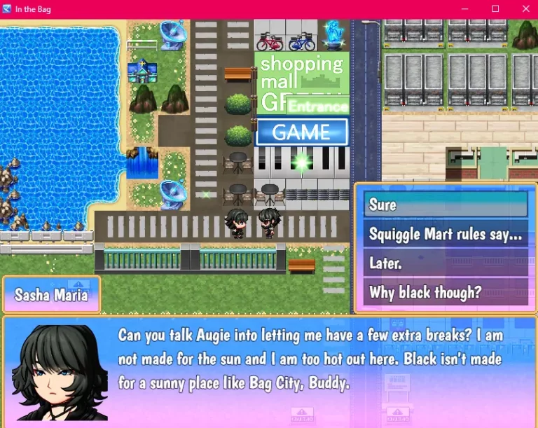 In the Bag Adult Game Screenshots (1)